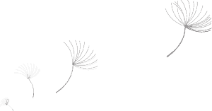 Wind Turbine Design 13